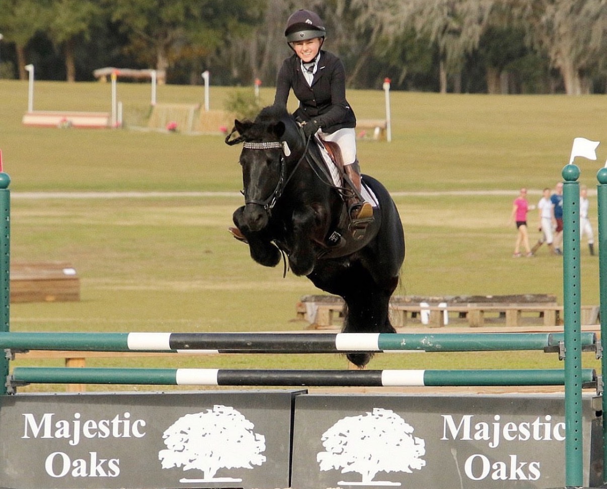 black pony with rider, jumping a green and black show jump