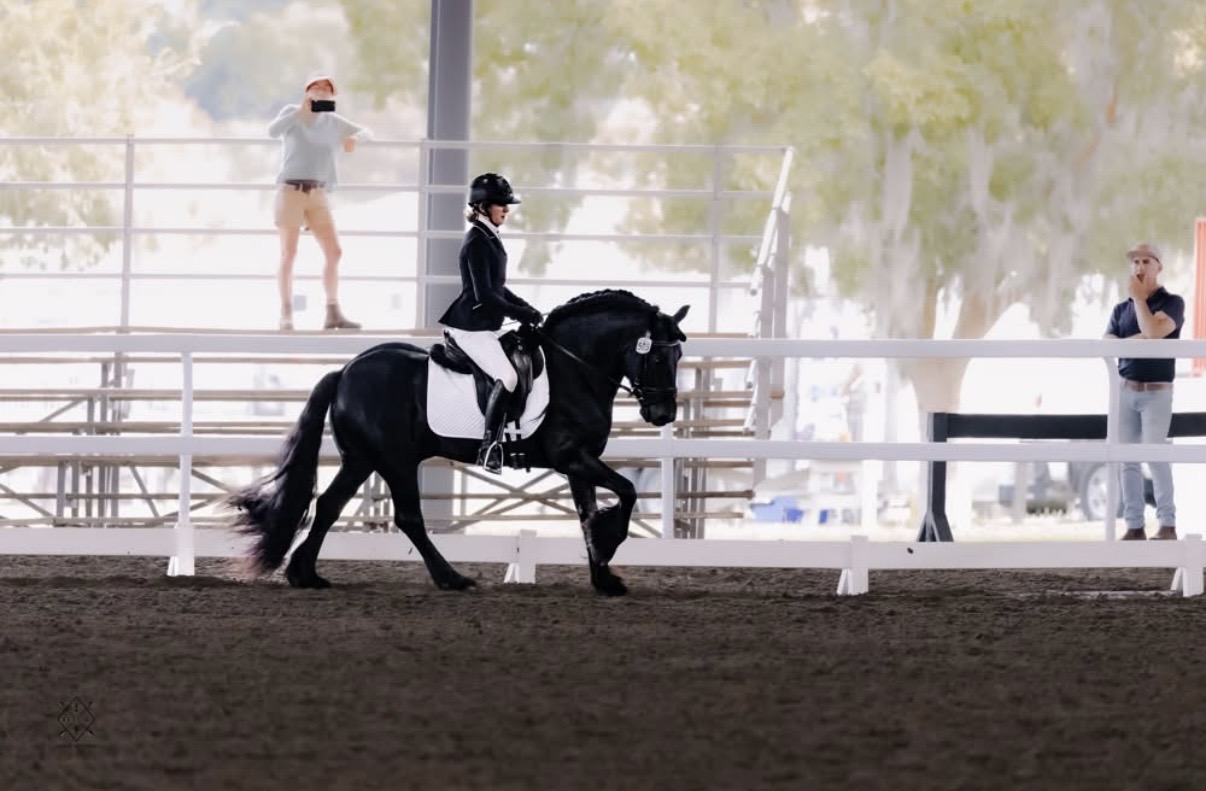 black pony with rider in an indoor arena