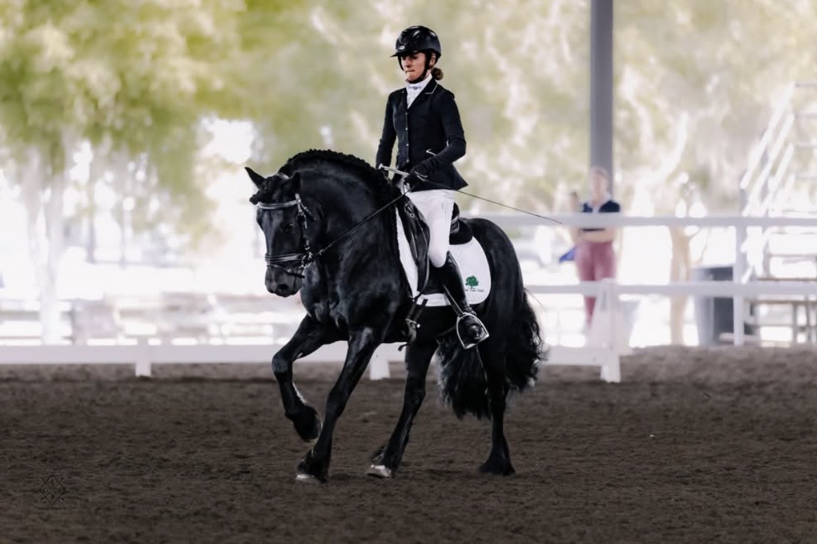 black pony with rider, performing a dressage test in an indoor arena